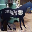 Awards: Horse Awards